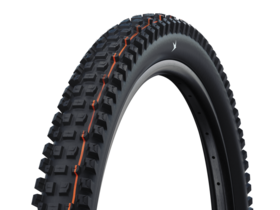 SCHWALBE Albert Trail Pro Radial 29" x 2.5" Soft