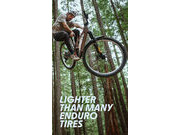 SCHWALBE Romy Trail Pro TLR Mid Radial MTB Tyre (Folding) 29 x 2.50" 29 x 2.50" click to zoom image