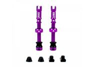 JUICE LUBES Tubeless Valves 48mm in Purple 