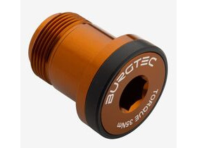 BURGTEC T-Type Derailleur Bolt 1 in Kash Bronze