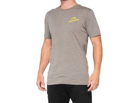 100% Dakota T-Shirt Heather Grey