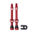 CushCore Tubeless Valves 55mm 