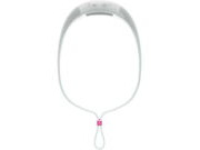 Knog Bandicoot Run 250 Head Torch - Grape click to zoom image