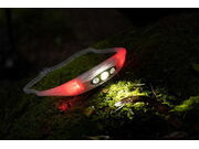 Knog Bandicoot Run 250 Head Torch - Lime click to zoom image