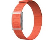 Coros GPSCC Coros Heart Rate Monitor Orange click to zoom image
